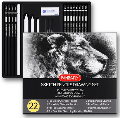 Drawing Sketching Pencil Set, 22 Piece Pro Art Pencil Kit - Graphite Pencils (12B-2H), Black and White Charcoal