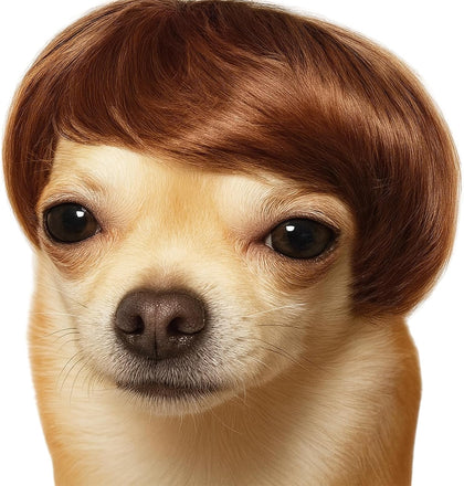 Dog Wig Pet Costumes, Cat Costume Synthetic Accessories Small Dog Headwear for Halloween Christmas Eve Festival Party