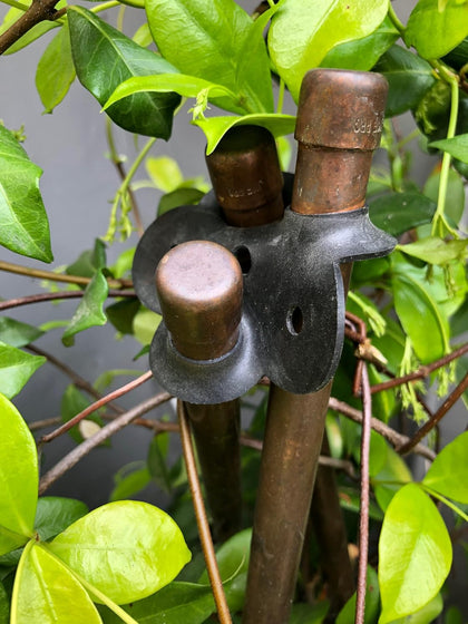 PLANT SUPPORT MADE EASY Stretch Rubber Plant Stake Connecters, 6-Pack, Model:GC-2006