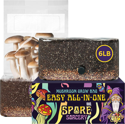 6 LB All-in-One Mushroom Grow Bag: Up to 48oz of Mushrooms! Nutrient-Enhanced, Injection Port, Just Add Your Own