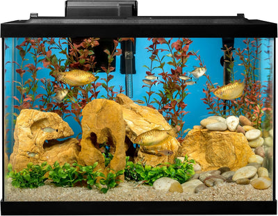 Complete 20 Gallon Fish Tank Kit for Freshwater & Saltwater Fish