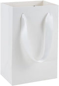 White Gift Bags with Handles, 30 Pack, 5.25x3.75x8 IN
