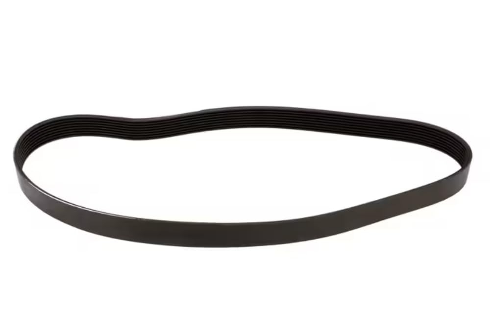 Fits Hobart 595L (1513MM) Belt, 595L, 1513MM for HL600, HL600AUS, HL662