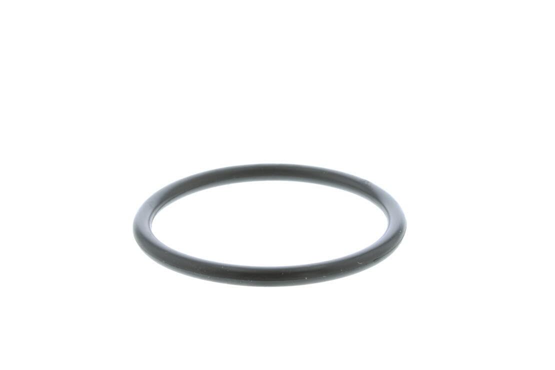 Engine Coolant Thermostat for Ford F-150 1995-1996#bfUZ