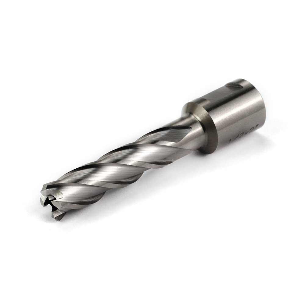 OSCARBIDE 1/2" x 2" HSS Annular Cutter 3/4" Weldon Shank Mag Drill Bit