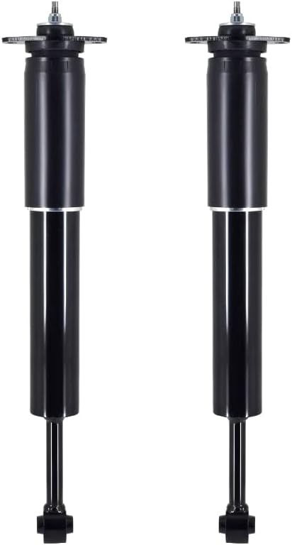 PM Auto Pair of 2 Rear Shock Absorber Compatible with 2006-2023 Dodge Charger
