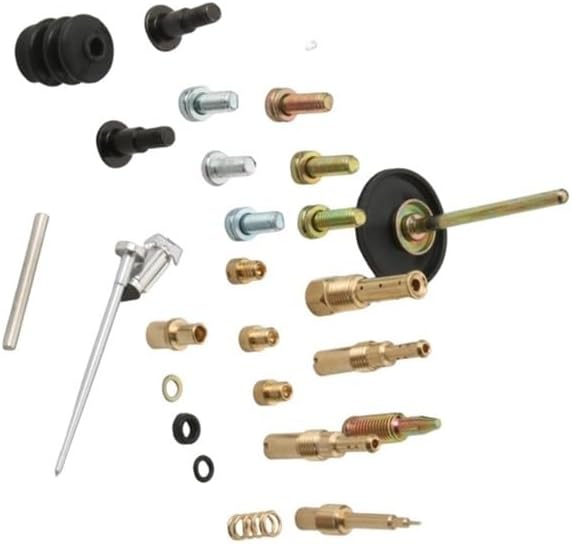 FLY100 Zip100 Liberty100 Carburetor Repair Kit Plunger Diaphragm Fit For FLY 100 Zip Liberty 100cc 4T CM146602