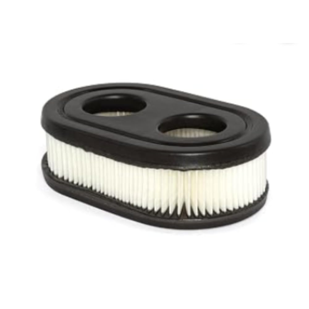 Briggs & Stratton Genuine Air Filter 593260 for Most Walk Mower Engines