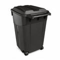 45 Gallon Outdoor Trash Can with Wheels and Fixed Lid, Heavy Duty Rolling Trash Bin for Patio, Garage and Roadside