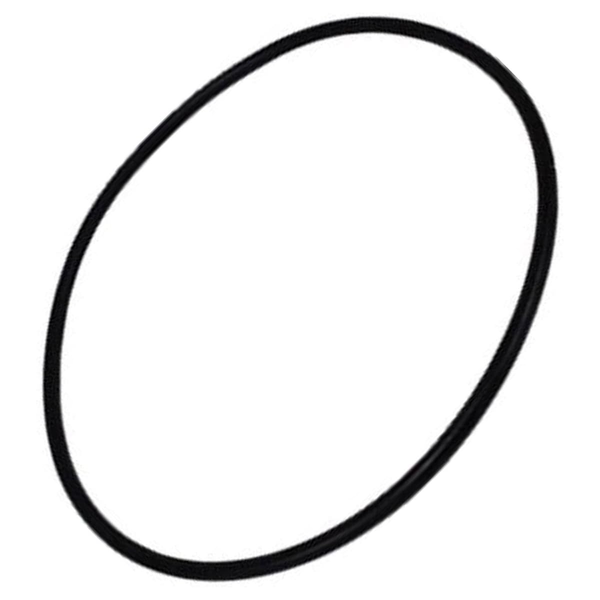 Lagostina Gasket for Door P Silicon Cm 22 Article for the House