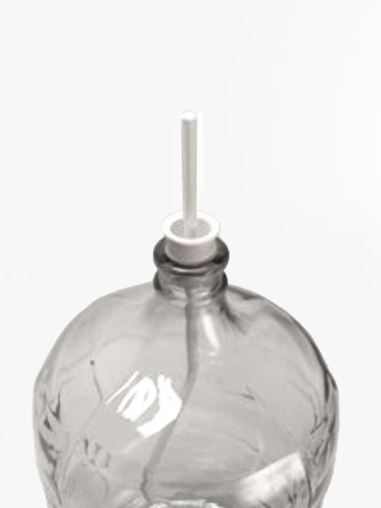 Wine Degasser