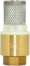 VARMHUS Brass Foot Valve with Filter, Check Valve for Water Pump, NPT Thread, Prevents Backflow (1/2inch)