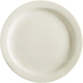 Restaurant Value, Stoneware Narrow Rim (Plate 10 1/2", America White,Ivory white)