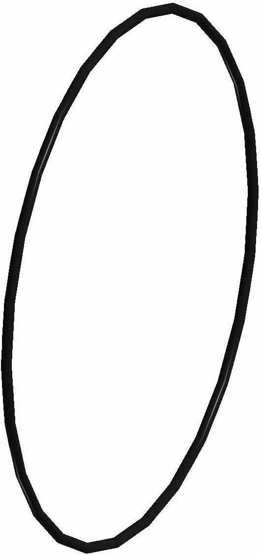 Polaris O-Ring, for Specific Snowmobile Models, Genuine OEM - 5410932