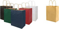 Brown & Color Each 100 8x4.75x10 inch Plain Medium Paper Bags with Handles Bulk
