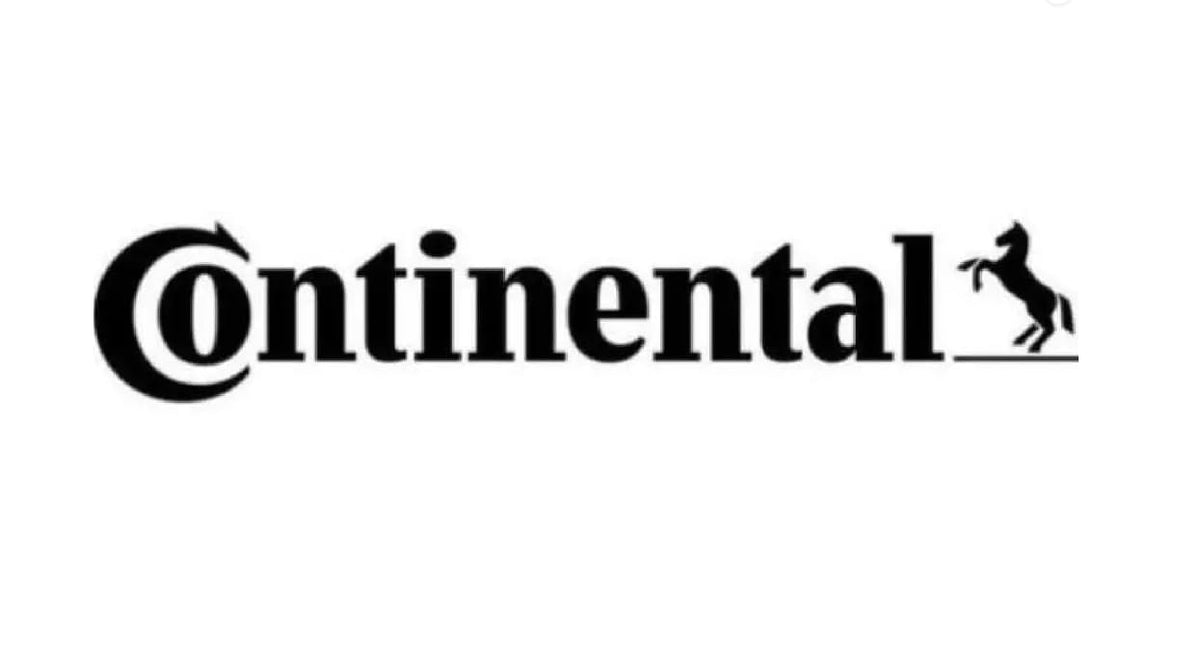 Continental B24 V Belt