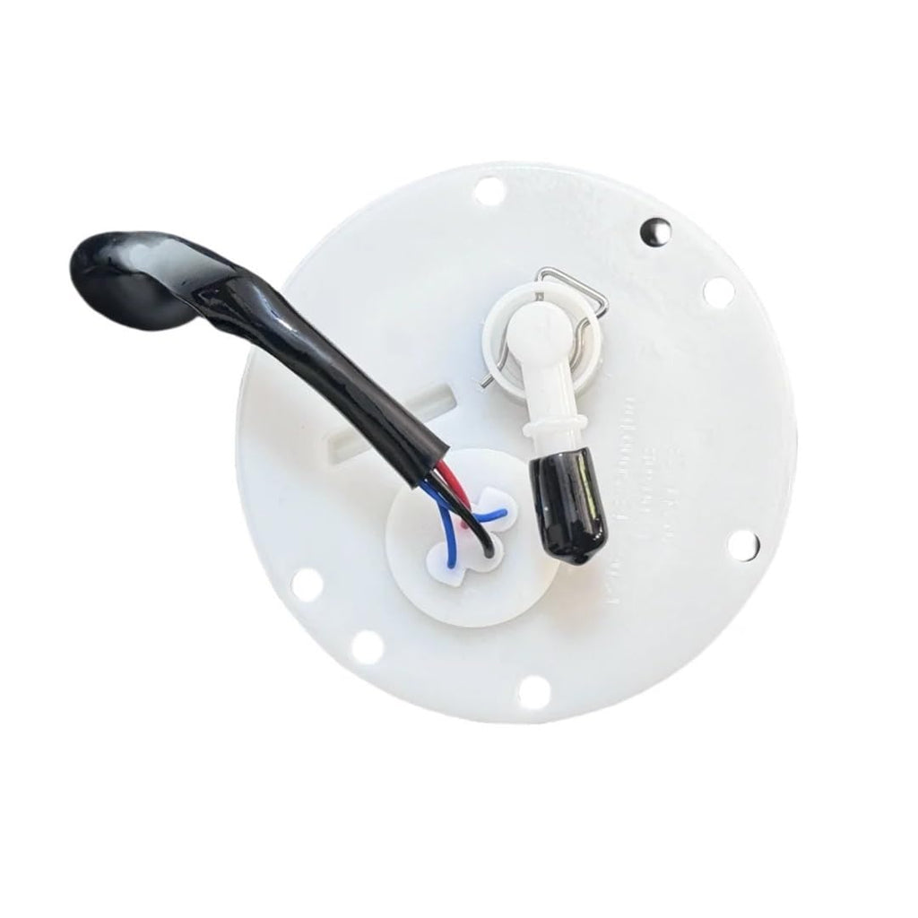 Efi Pump with Washer Suitable for HS700ATV-8 P208001395000000
