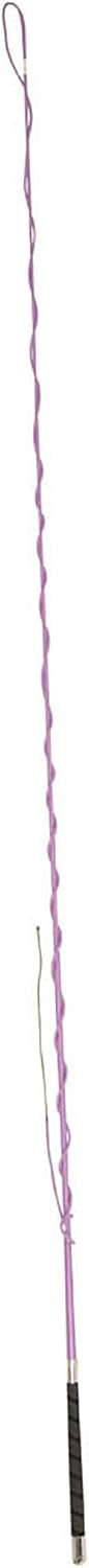 Lunge Whip with Grip Handle
