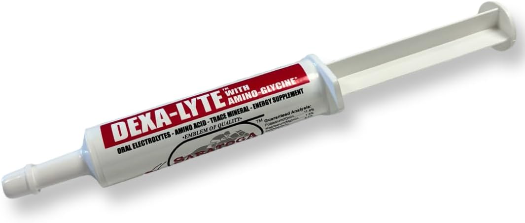 Dexa-Lyte Horse Energy Boost Premium Electrolyte & Amino Acid Energy Boost