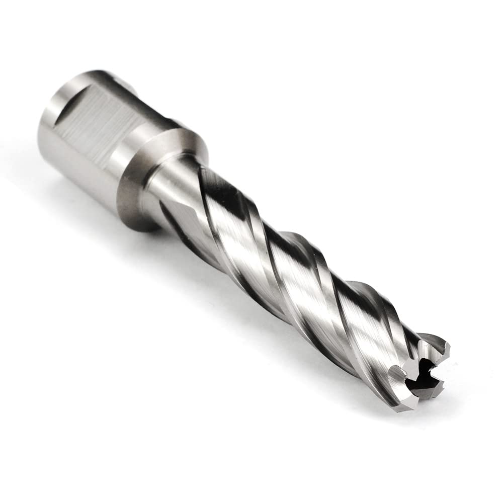 OSCARBIDE 1/2" x 2" HSS Annular Cutter 3/4" Weldon Shank Mag Drill Bit