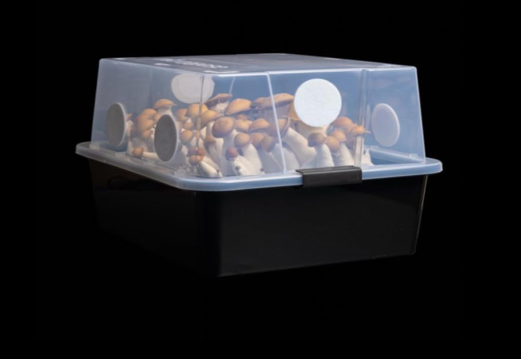 Mushroom Monotub Large 66Q Grow Kit | Complete Mushroom Grow Kit | for Dung-Loving Mushrooms | Includes 2 sterilized