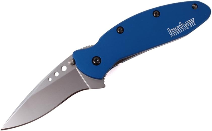 Scallion Pocket Knife, Black and Gray, 2.4 Inch Stainless Steel Drop Point Blade, EDC with Assisted Opening, Dual