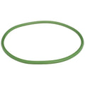 Delphi FA10029 Fuel Pump Tank Seal