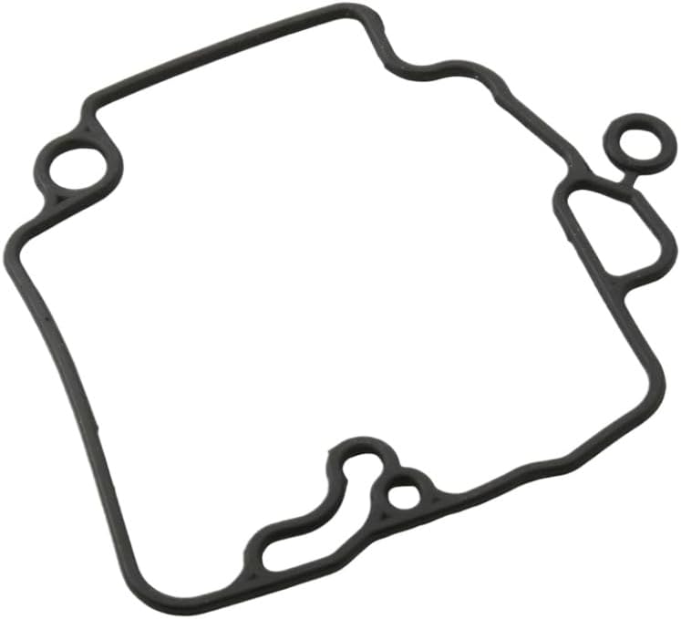 Carburetor Repair Kit Compatible With FLY 100 Zip 100 Liberty 100