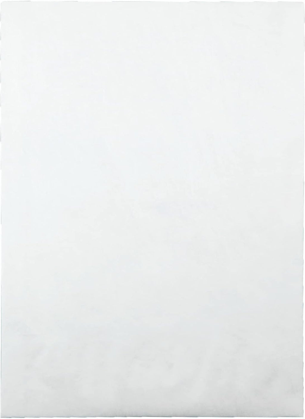 Survivor R4200 Tyvek Expansion Mailer, 10 x 13 x 1 1/2, White, 18lb (Case of 100)