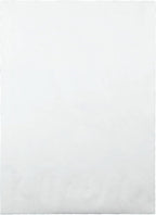 Survivor R4200 Tyvek Expansion Mailer, 10 x 13 x 1 1/2, White, 18lb (Case of 100)