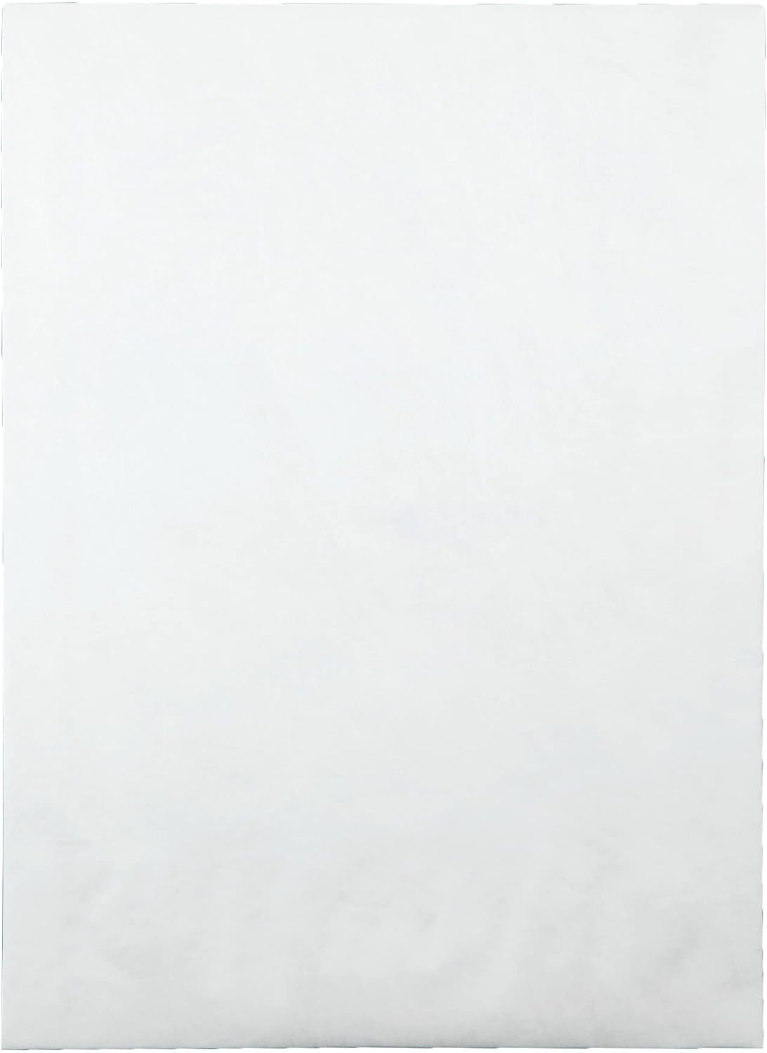 Survivor R4200 Tyvek Expansion Mailer, 10 x 13 x 1 1/2, White, 18lb (Case of 100)