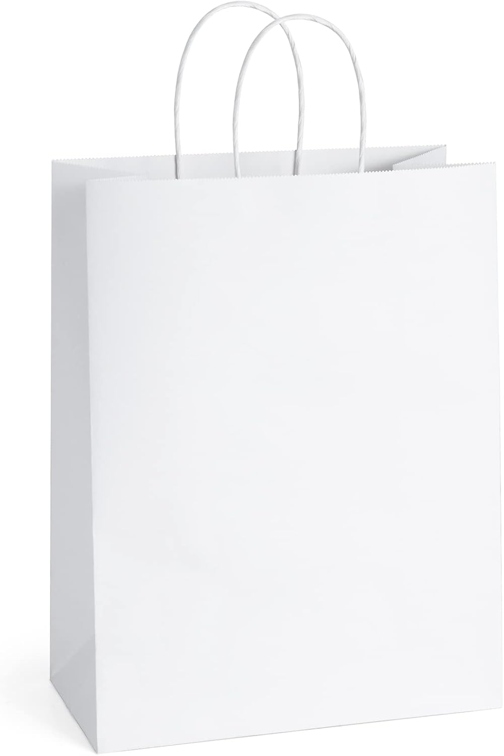 Kraft Paper Bags with Handles 10x5x13 Inch Large White 25 Pack