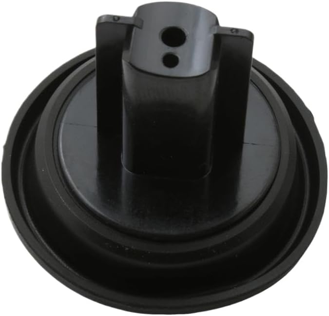 Carburetor Repair Kit Compatible With FLY 100 Zip 100 Liberty 100