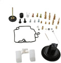 Repair Kit Plunger Diaphragm for FLY 100 Zip100 Liberty100
