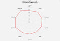 Ethiopia Yirgacheffe - Premium Green Coffee Bean - Unroasted Coffee Bean - 2lb