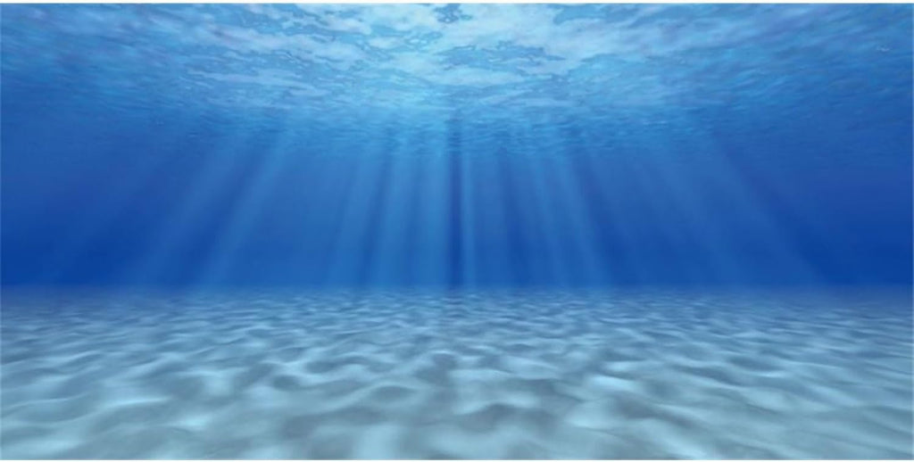 Undersea Aquarium Backdrop Sunshine Fish Tank Background 24x12 inches