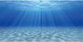 Undersea Aquarium Backdrop Sunshine Fish Tank Background 24x12 inches