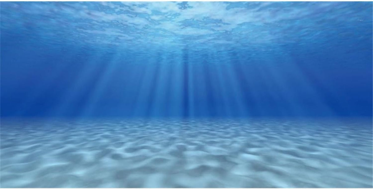 Undersea Aquarium Backdrop Sunshine Fish Tank Background 24x12 inches