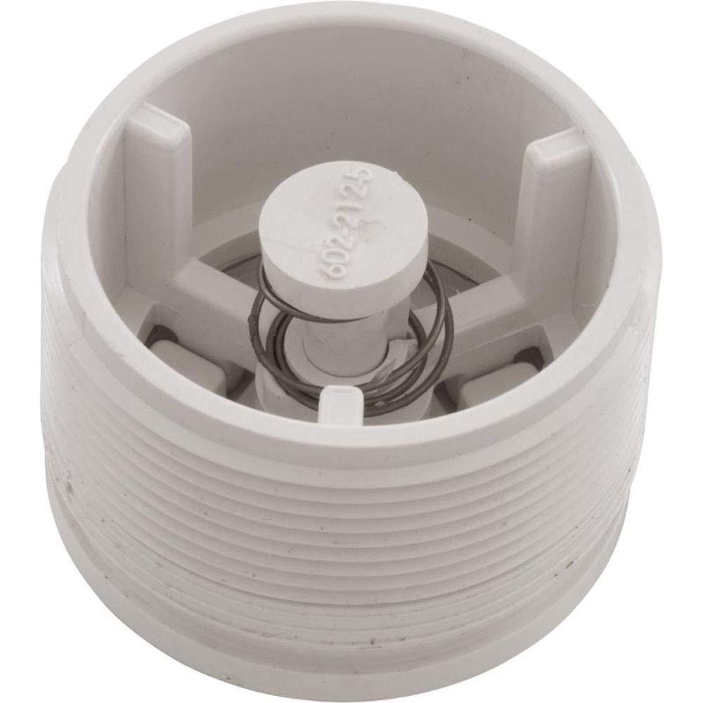 Waterway Hydrostatic Relief Valve, 2" mpt, White