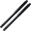 Detroit Axle - 2pc Rear Shock Absorbers for 2009-2019 Ford F-150