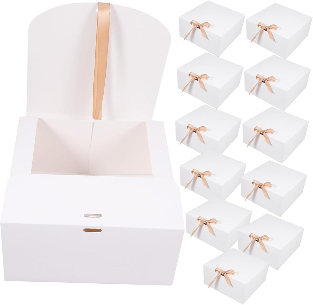 White Clamshell Gift Boxes with Lids 12 Pack Kraft Paper