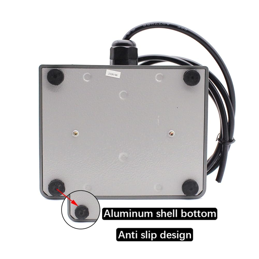 Bloepum Foot Switch MDFS-65 Double Foot Pedal Self-Reset 3A 220VAC Wire