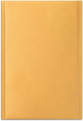 Bubble Mailers, #7 Size, 14.25x19 Inch, Extra-Large, 25/Ctn