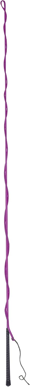 Lunge Whip