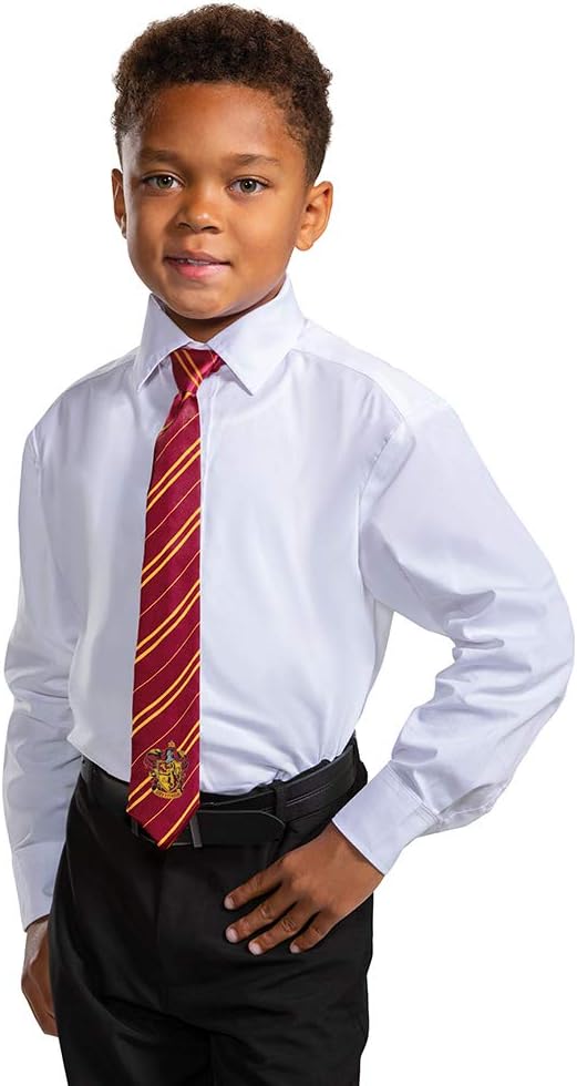 Harry Potter Costume Necktie, Official Hogwarts Wizarding World Kids Costume Breakaway Child Size Tie