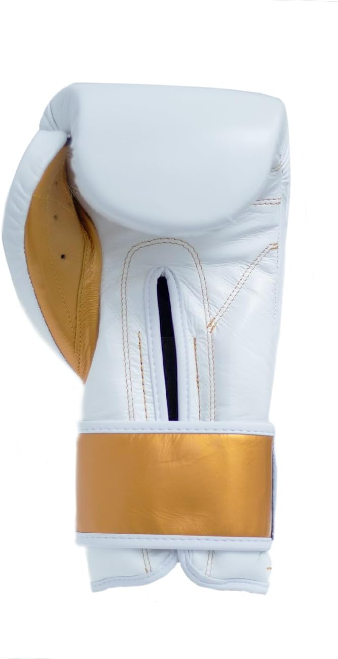 Training Boxing Gloves for Men and Women with Hook and Loop Closure, Premium Synthetic Leather, MMA, Kickboxing, Muay