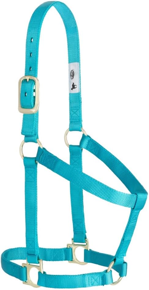 Nylon Horse Halter, Comfort Double-Ply Webbing, Basic Non Adjustable Halters for Horses, Equine Tack,Average Size
