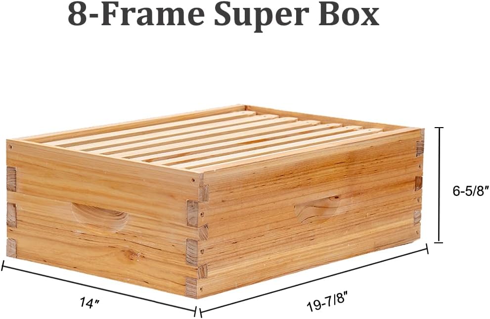 8 Frame Langstroth Bee Hive Coated with Beeswax Includes Beehive Frames and Waxed Foundations (2 Deep Boxes & 1