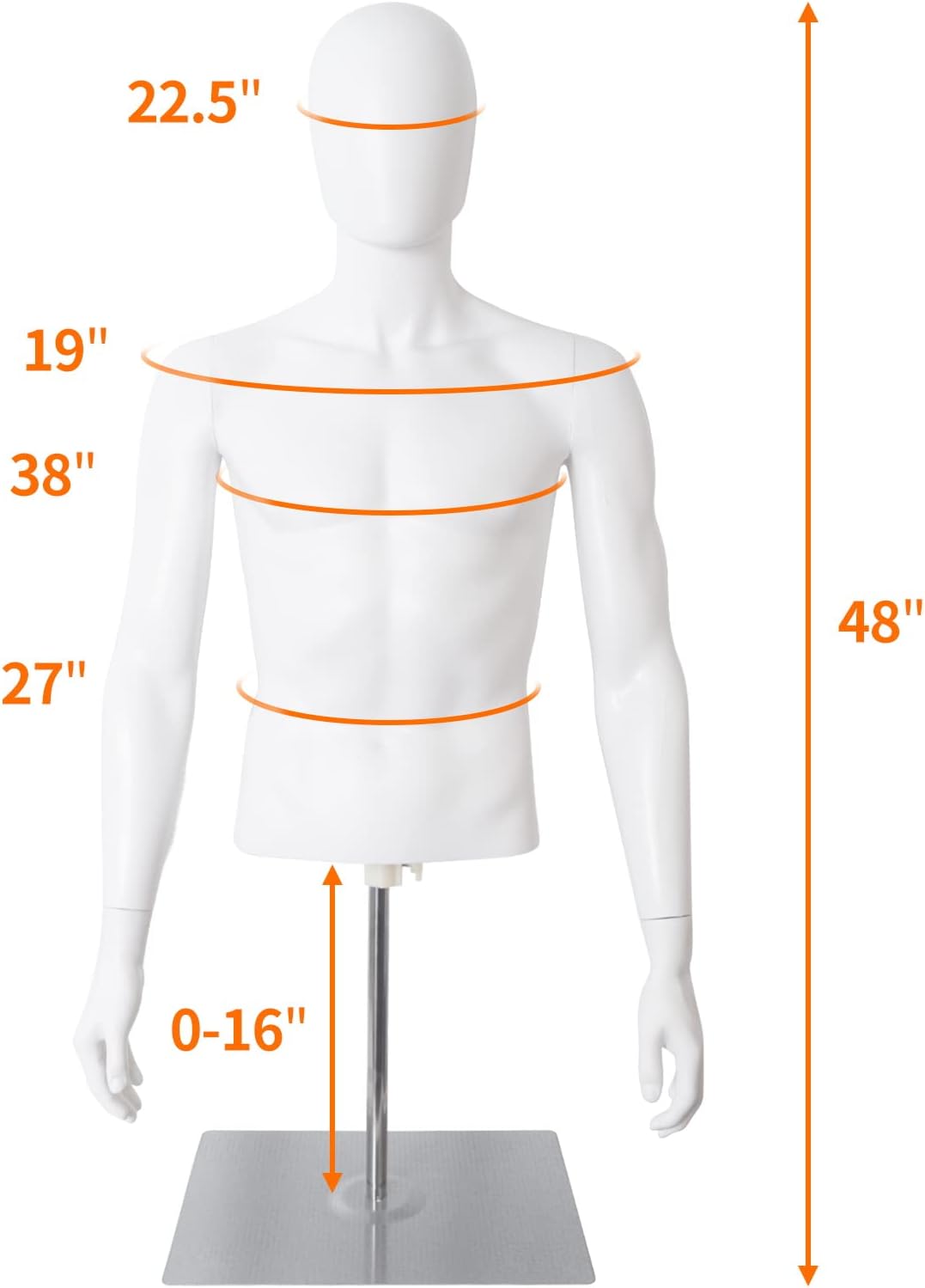 Male Mannequin Torso Body, Height Adjustable Plastic Half Body Display Dress Form with Metal Stand, Dress Form for