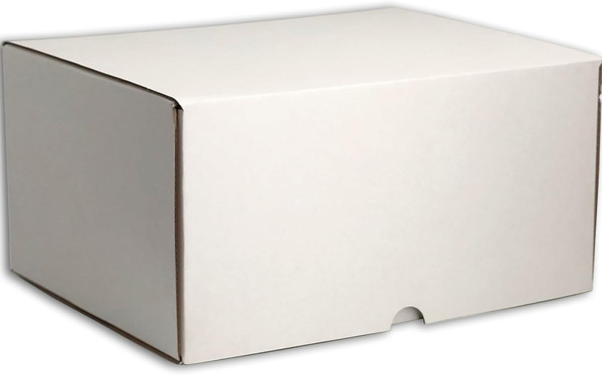 12x8x6 Shipping Boxes White Mailer Corrugated Cardboard Box Set of 15